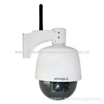 Network Dome Camera, Pan/Tilt and Motion Detection, P2P and 3x Zoom